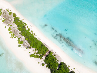 Image showing Aerial drone view of picture perfect beach and turquoise lagoon on small tropical island on Maldives