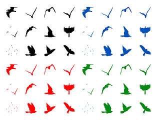 Image showing Silhuettes of birds