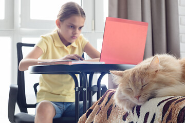 Image showing In the foreground lies a cat, in the background a girl learns while sitting at a table