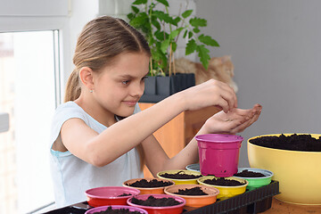 Image showing Girl is planting seeds in cooked pots