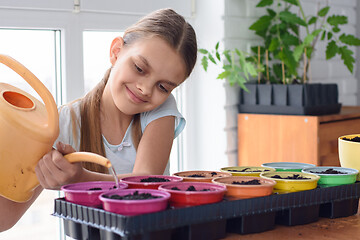 Image showing The girl planted the seeds in pots and watered them with a watering can