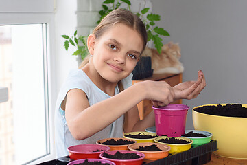 Image showing Girl plants seeds in pots at home