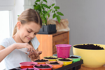 Image showing The girl pours seeds from a bag in her hand for further planting