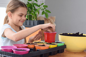 Image showing Cheerful girl plants seeds in pots