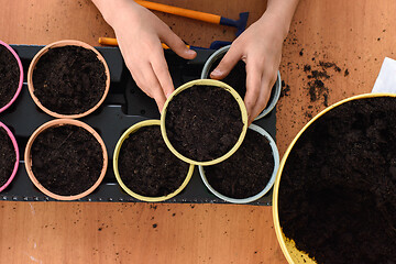 Image showing Top view on pots with seedlings, children\'s hands took one of the pots background