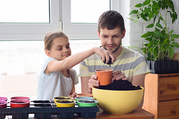 Image showing Girl with dad pour earth into pots for planting plants