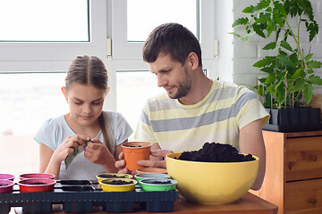 Image showing Mom and daughter plant seedlings in flower pots