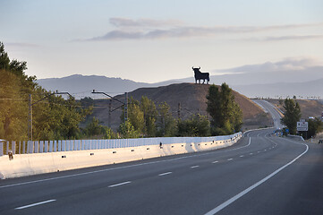 Image showing Black bull statue on road