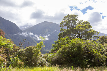 Image showing Landscape scenery in south New Zealand