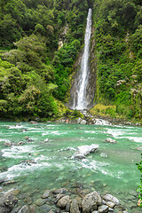 Image showing Thunder Creek Falls, New Zealand