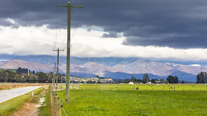 Image showing Agriculture in New Zealand south island