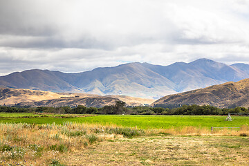 Image showing Agriculture in New Zealand south island