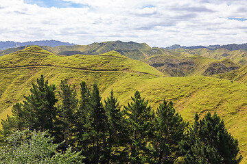 Image showing typical rural landscape in New Zealand