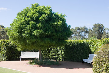 Image showing Park Benches