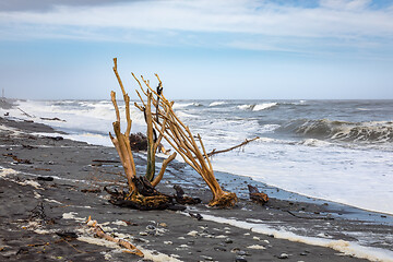 Image showing jade beach Hokitika, New Zealand