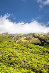 Image showing volcano Taranaki covered in clouds, New Zealand 