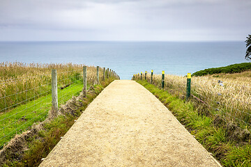 Image showing Path to Tunnel Beach New Zealand