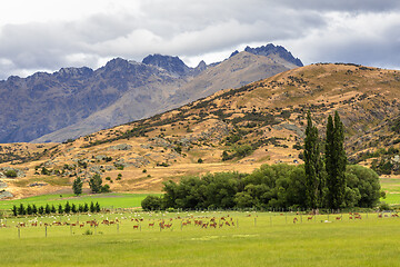 Image showing Landscape scenery in south New Zealand