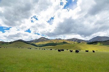 Image showing Landscape scenery in south New Zealand