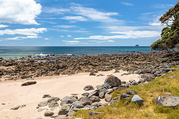 Image showing hot springs beach New Zealand Coromandel