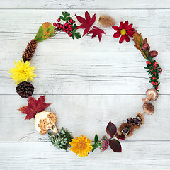 Image showing Autumn Wreath Beauty