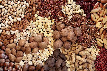 Image showing Dried Nut Collection