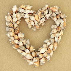 Image showing Heart Shaped Shell Wreath