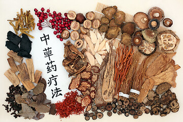 Image showing Traditional Chinese Herbal Therapy