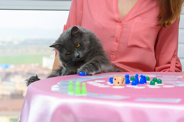 Image showing Home cat decided to play chips from a board game