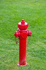 Image showing Fire Hydrant Lawn