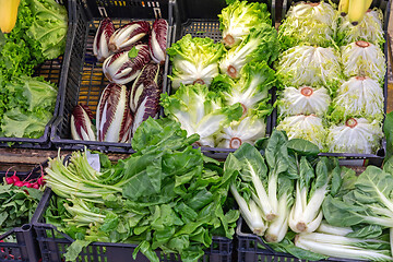 Image showing Fresh Saladas Market