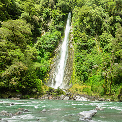 Image showing Thunder Creek Falls, New Zealand