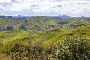 Image showing typical rural landscape in New Zealand