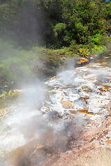 Image showing volcanic activities at waimangu