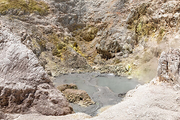 Image showing geothermal activity at Rotorua in New Zealand