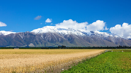 Image showing Mount Taylor and Mount Hutt scenery in south New Zealand