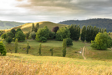 Image showing typical rural landscape in New Zealand