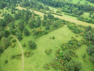 Image showing aerial view trees