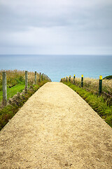 Image showing Path to Tunnel Beach New Zealand