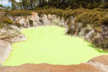 Image showing geothermal activity at Rotorua in New Zealand