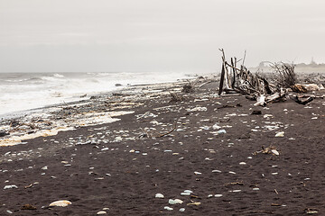 Image showing jade beach Hokitika, New Zealand