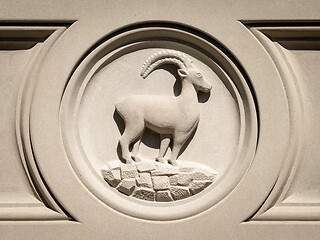 Image showing Zodiac Capricorn sign in stone