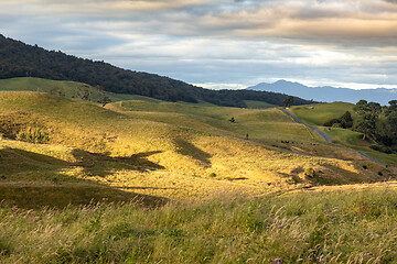 Image showing typical rural landscape in New Zealand