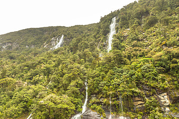 Image showing Fiordland National Park New Zealand