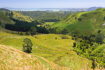 Image showing landscape Matamata