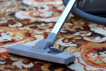 Image showing Cleaning carpet