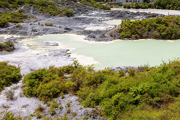 Image showing volcanic activities at waimangu