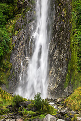 Image showing Thunder Creek Falls, New Zealand