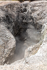 Image showing geothermal activity at Rotorua in New Zealand