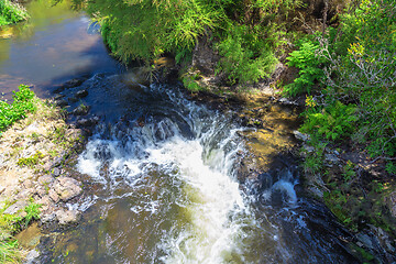 Image showing small river with green plants New Zealand